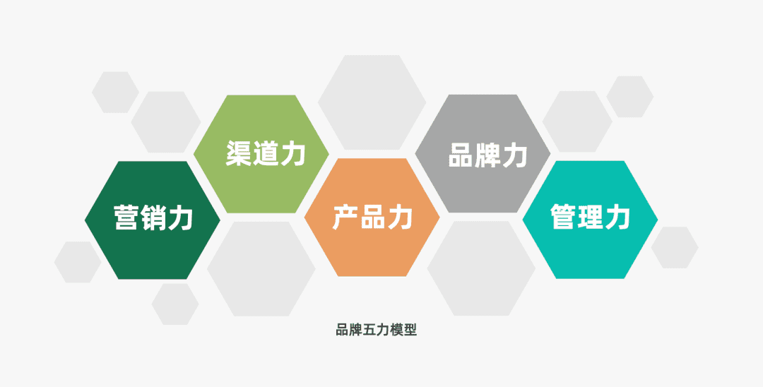 解码品牌三大驱动力 营销力、渠道力与品牌管理的协同之道