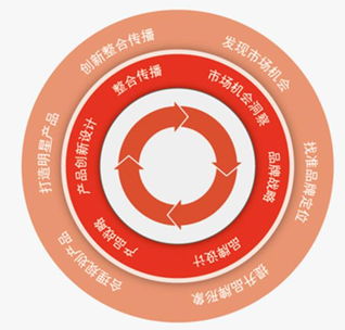 上海十树品牌管理咨询 品牌战略的智囊团与践行者