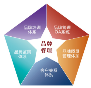企业网络品牌管理维护的核心要素与实操指南